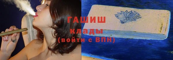 прущие грибы Балахна
