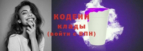 прущие грибы Балахна