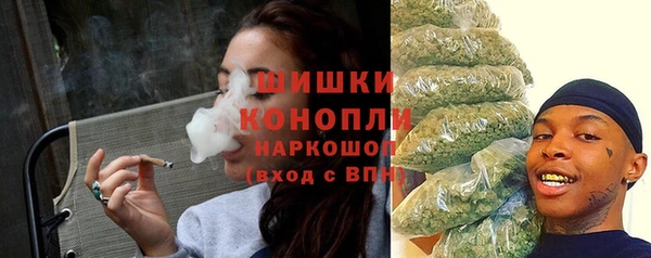 прущие грибы Балахна