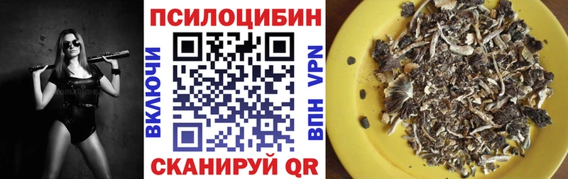 Псилоцибиновые грибы Cubensis  сколько стоит  Качканар 